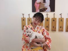 -柴犬小屋·柴餐厅·狗咖食堂(金鼎广场店)