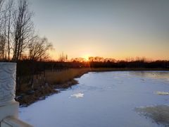 -大兴滨河森林公园