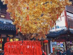 -鲜得来排骨年糕(豫园店)
