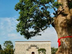 -养云安缦吧THE BAR