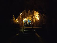 -怀托摩萤火虫洞