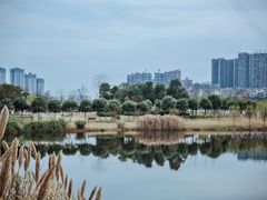 -眉山湿地公园(东坡区)