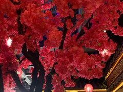大堂-探花·意境江南菜·唐伯虎文化体验店·松鼠桂鱼(观前店)