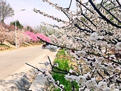 -北京鹫峰国家森林公园