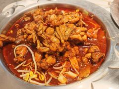 -美蛙四季(望京凯德茂店)