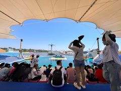 -秦皇岛乐岛海洋王国