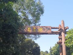 -大屏嶂森林公园