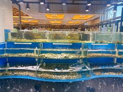 -四海蒸鲜蒸汽海鲜自助(北戴河店)