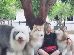 -TrueLove @ Neverland (Husky Cafe)