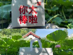 -红花点心局(大观园店)