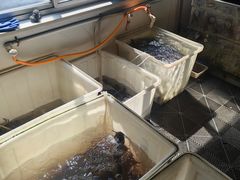 -夏家大锅台炖鱼馆