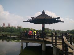 -前关湿地公园