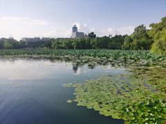 -长春市南湖公园