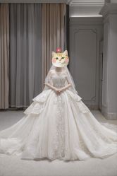 -MuseMarry婚纱(前海嘉里中心店)
