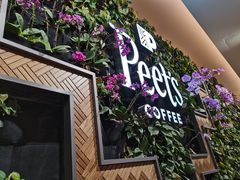 门面-Peet's Coffee皮爷咖啡(豫园店)