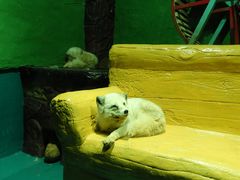 -大连圣亚海洋世界
