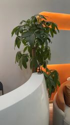 -Cocodemer产后恢复(杭大店)