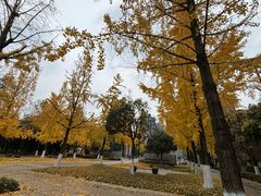 -成都中医药大学(温江校区)