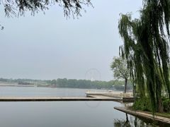 -石家庄市植物园