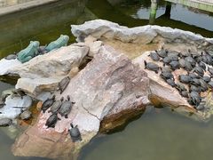 -八景休閒山莊  廣東十大名山莊