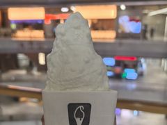 -野人先生现做冰淇淋(北京环宇荟店)