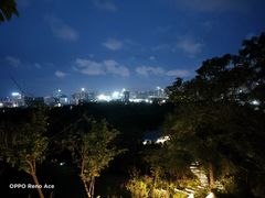 -聚龙山公园