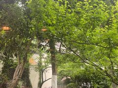 -杭州西湖柳莺里酒店·闻莺厅