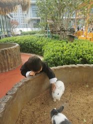-造物庄园 萌宠纪(苏州湾歌林公园店)
