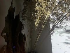 -苏州本色美术馆