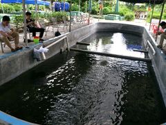 -小象钓虾·营地烧烤(洛溪店)