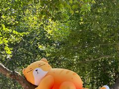 -西安电影制片厂