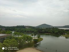-佘山世茂艾美·御珍轩中餐厅