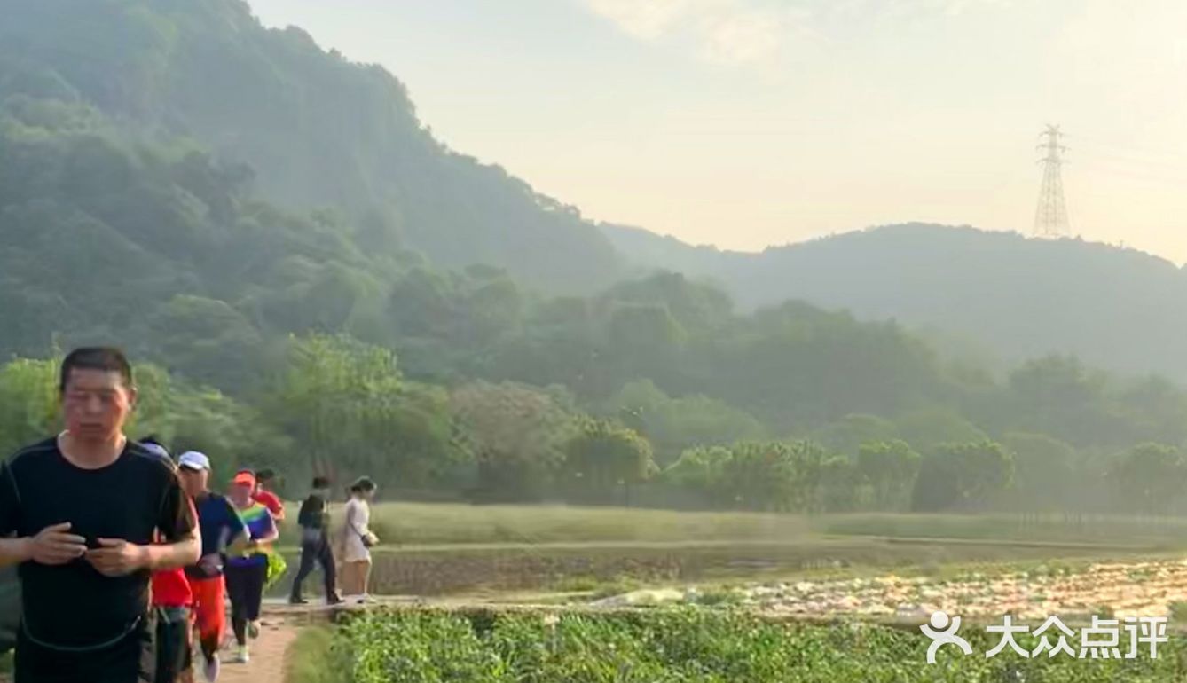 辣椒，还有刚开敗的油菜花。过来