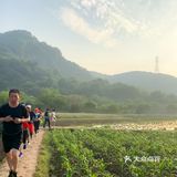 辣椒，还有刚开敗的油菜花。过来