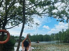 -白鹭湾湿地公园
