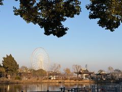 -无锡蠡湖国家湿地公园-蠡园