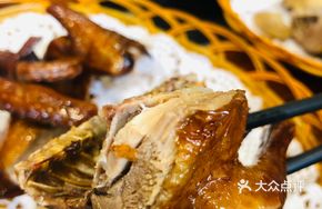 Braised Young Pigeon