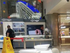-鹏欣水游城