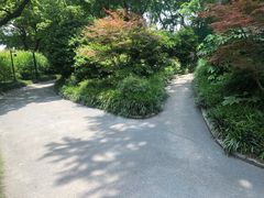 -兰溪青年公园