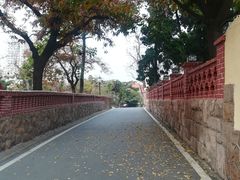 -八大关景区