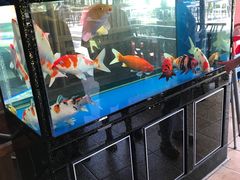 -鲤鱼塘农家山庄