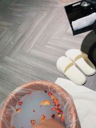 -奥斯芬欧系贵族SPA
