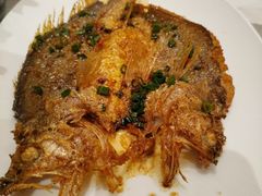 -厝包四点金·潮宴(太古仓店)