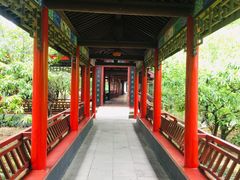 -南汇桃花村