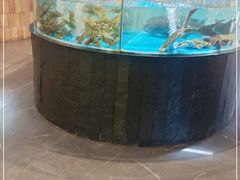 水产区-耕渔小院·湖南鱼鲜(望城店)