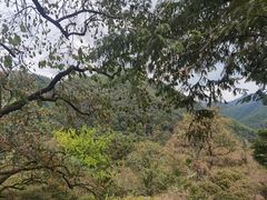 -丹山赤水风景名胜区