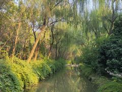 -洛阳市隋唐城遗址植物园