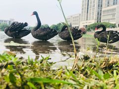 -江南大学(蠡湖校区)