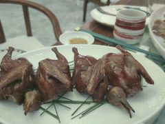 红烧乳鸽-瓷忆·瓷文化餐厅(上海店)