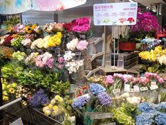 -绚荟城